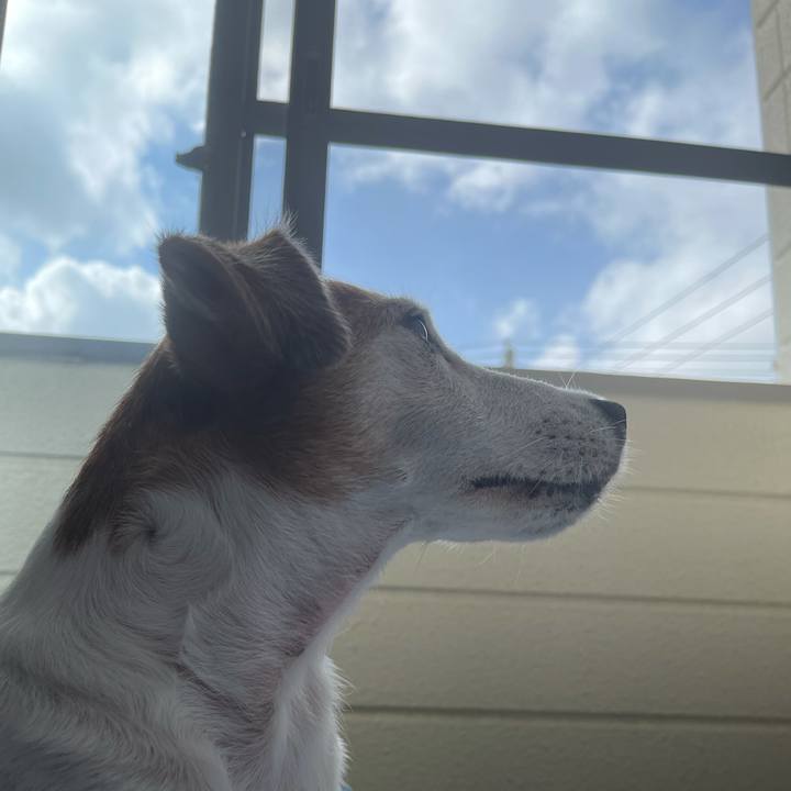 Ccd95075 c7f9 40fd 9380 e9d1f70c6806 1628637504241