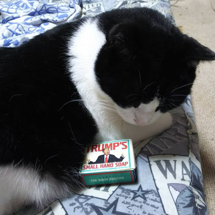 Ccd959d3 ddb5 4f28 a49e 3fd9b0295bf9 1530538131761