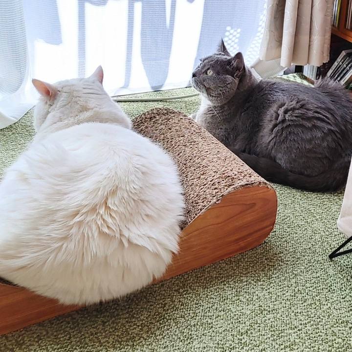 Ccd96797 fb94 4931 bbe9 2fc7b4bffb3a 1668823290281