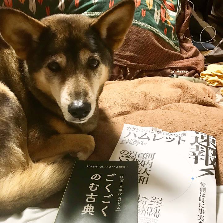 Ccd9a2b1 2f3b 4614 9339 9539aae6c37c 1513955233649