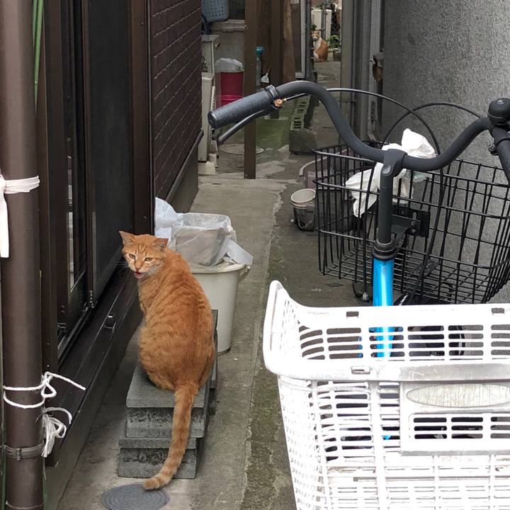 Ccd9abfa 9cde 47f8 8fb2 9c378e908385 1528383825135