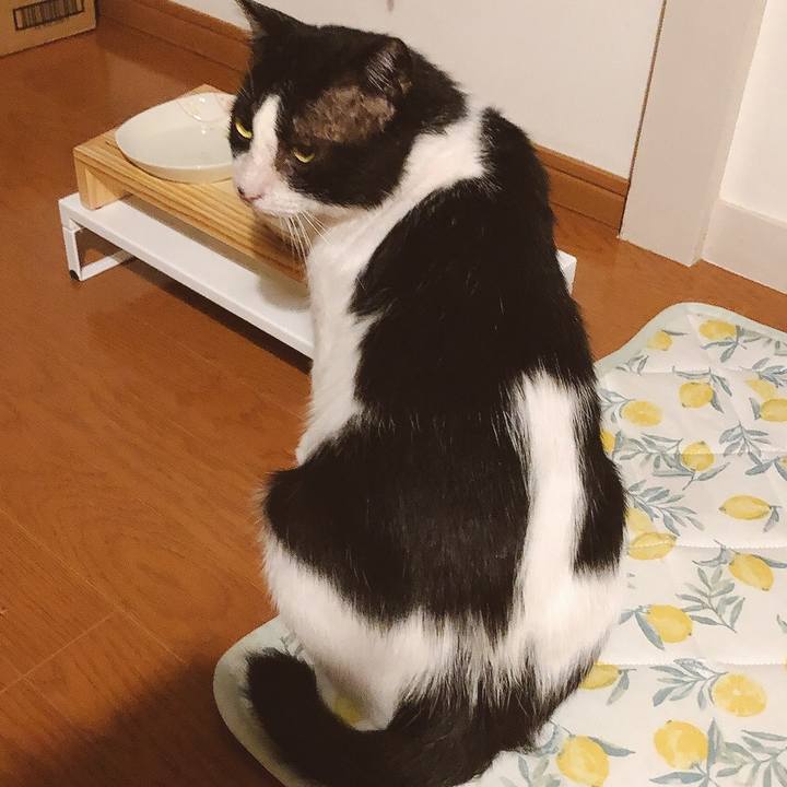 Ccd9b0b9 dc6b 4833 a0b1 380e567c473b 1629437740843