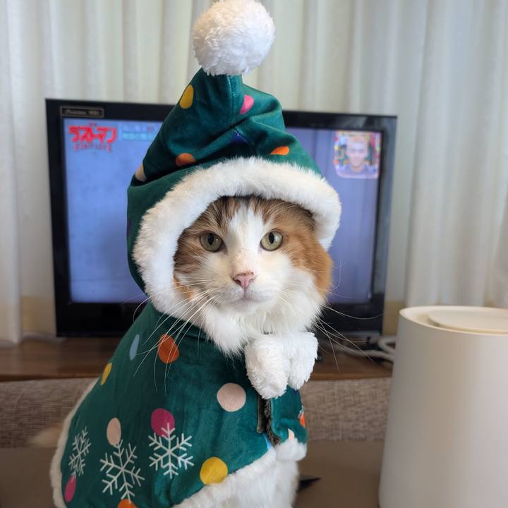 Ccd9fc7b 4ae7 4baa aea9 8dd1be459099 1763780805575