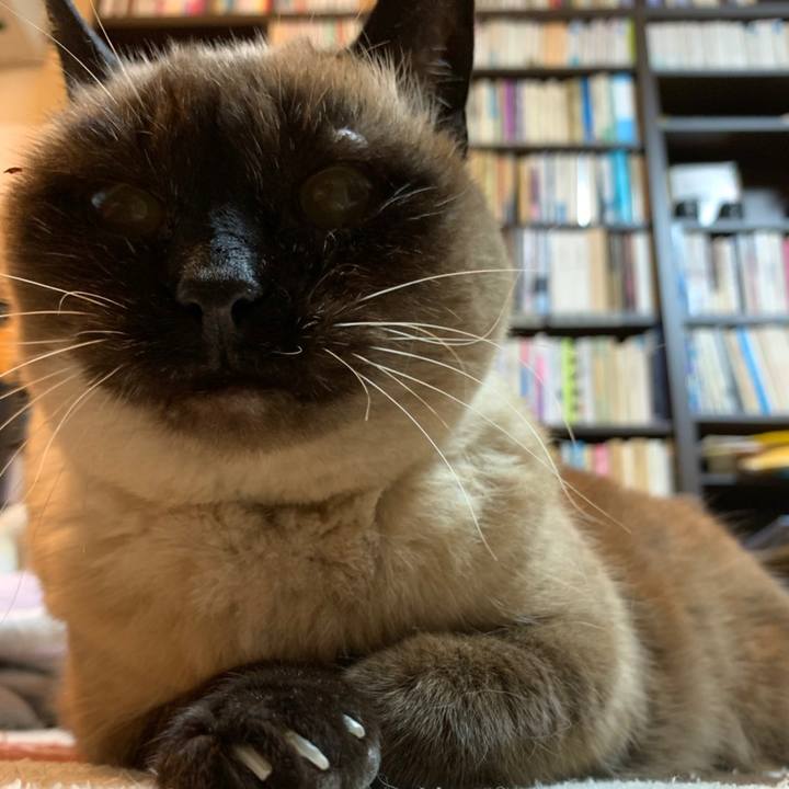 Ccda066a 9943 4f83 afdf f8a0d4634c82 1616240044355