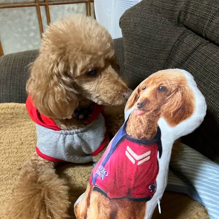 Ccda4836 c60d 472d bbd9 46e39c584417 1650979441926