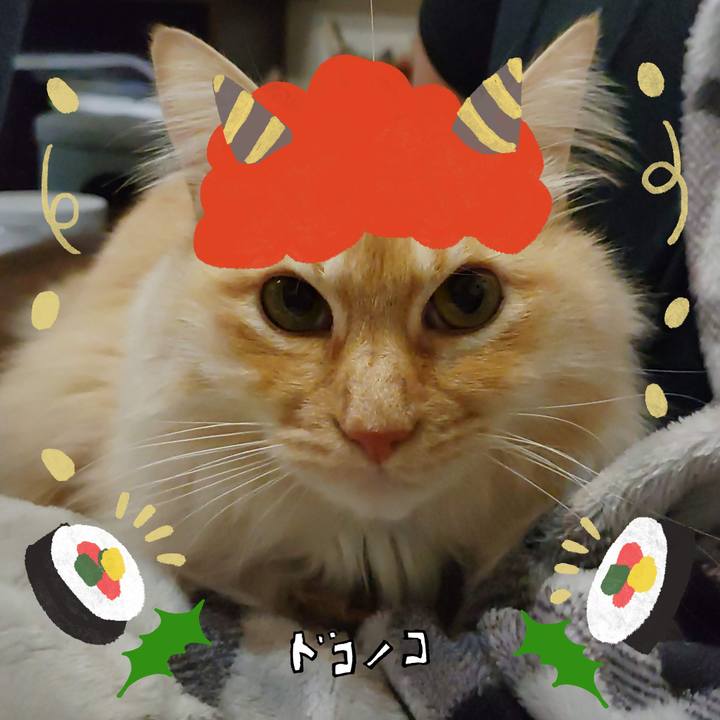 Ccda4a02 6fa1 4f20 b68b 732ee1971aae 1706756934635