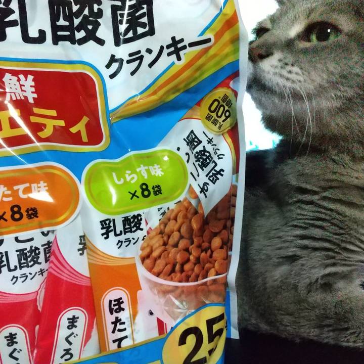 Ccda94bc 9dd5 4cae a5cc b6bb1734f149 1693396770763