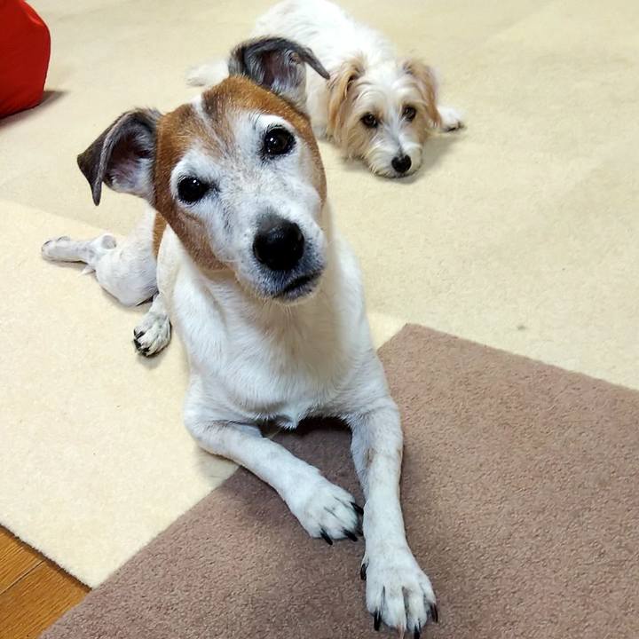 Ccdaab39 4c5f 40e2 a4b3 4929646ac656 1542803082424