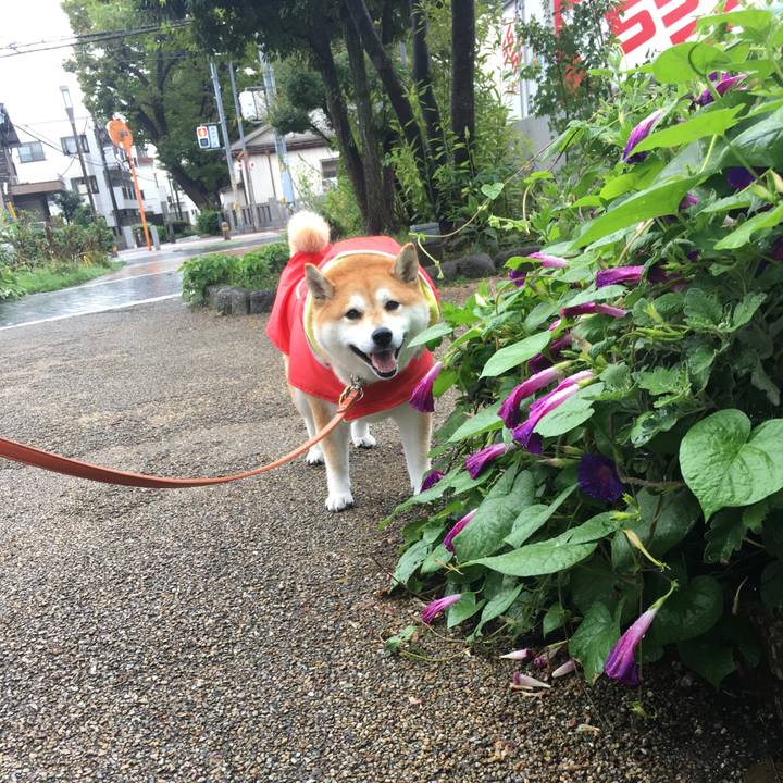 Ccdb05b6 0ae0 46e3 abc7 652d65e5823b 1568607154157