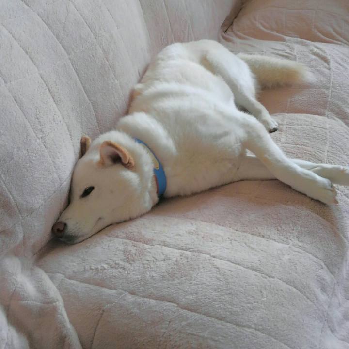 Ccdb5090 5b86 4ada a571 0bf6b2687052 1554982849295