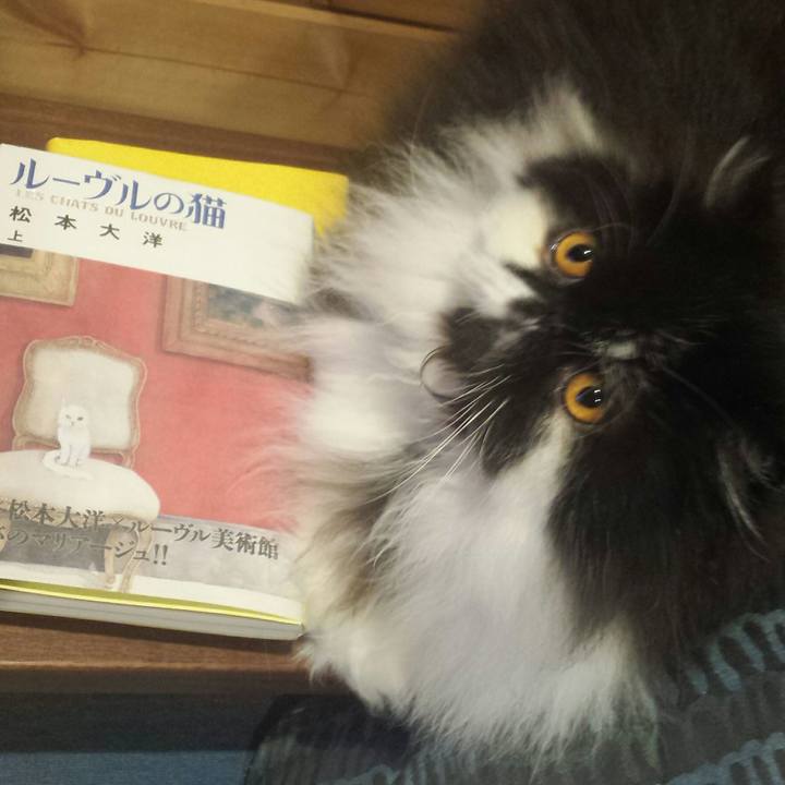 Ccdbee55 303a 49c8 9575 23abbdcf5ff6 1522151871274