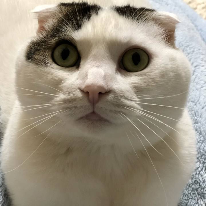 Ccdbfa4f 2431 49f8 9a35 4dd38d0094a1 1553427334123