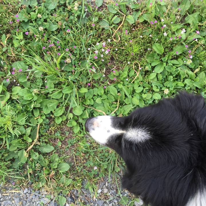 Ccdc23f3 c37d 47d7 a356 f841b04a3d31 1527981159147