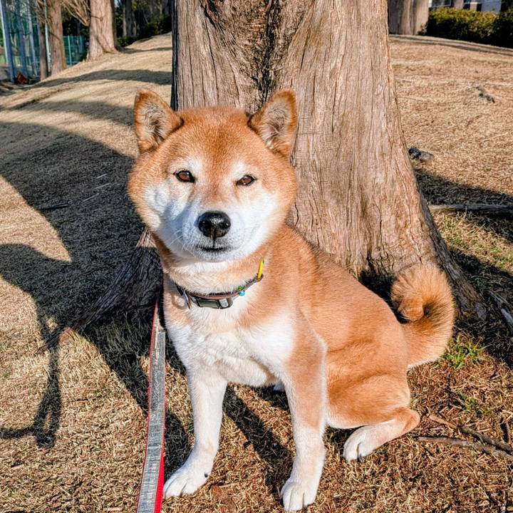 Ccdc28f3 eaf5 47da 861d 683e2c939fc6 1772804235894