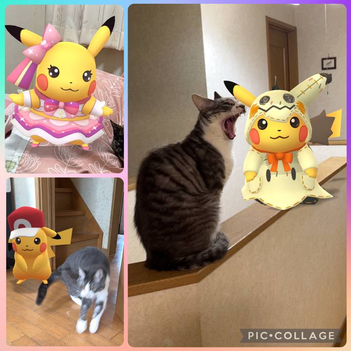 Ccdc4e08 0c65 4b2f 90bf c43da9330dbb 1771910387760