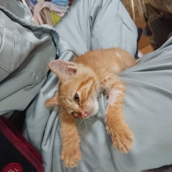 Ccdc6d77 95e7 4e91 8071 40e614704a46 1627855270260