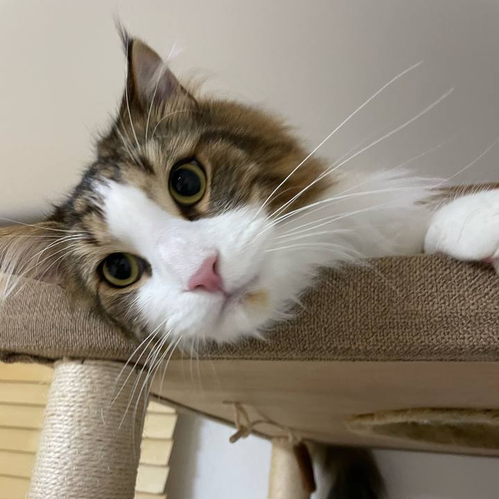 Ccdca380 9b81 4d97 85ae a554d9901b50 1680985243084