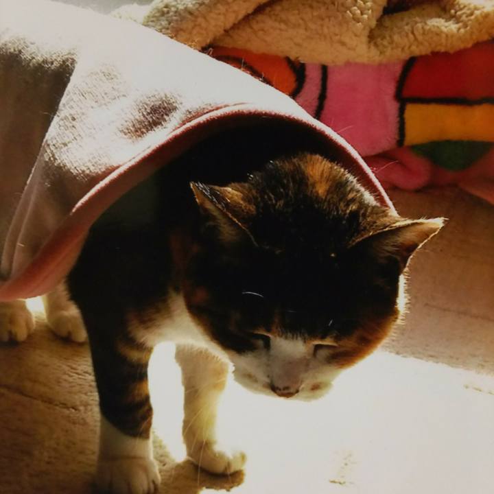 Ccdcbbe2 ab40 4945 bc25 e4c46456f14b 1528025340151