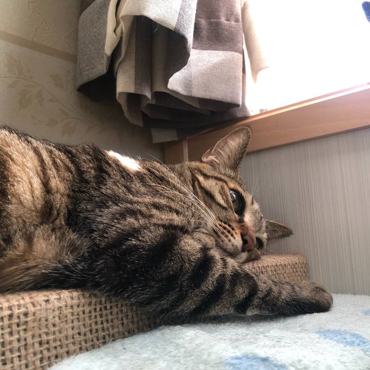 Ccdd00c1 cf4f 4e98 b043 bfec8ee3ac41 1613768239504