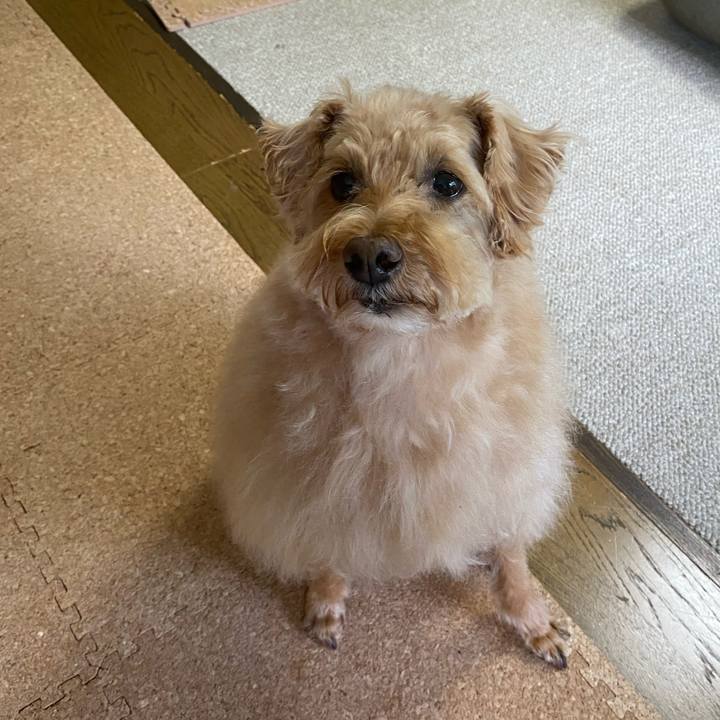 Ccdd50b6 0fe8 4666 8f6a a87070d0c384 1655511232305