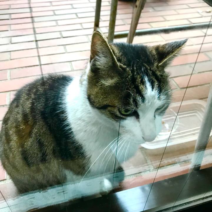 Ccdd5a4d 8728 413b b154 9ead8d8a0a14 1512530272669