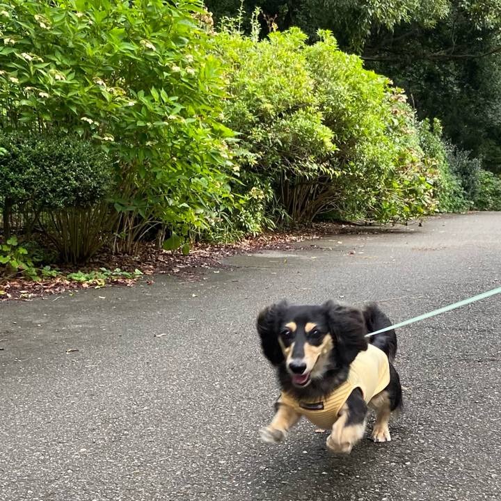 Ccdd7ffc 2fc4 4674 9585 6fddf84e6314 1694037408809