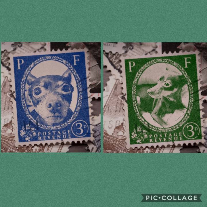 Ccdd8891 924c 4893 9371 e654018ceb5e 1569939691305