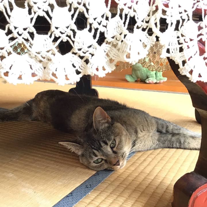 Ccddd8cf a7ac 4b21 95b7 3e81b5f28f25 1627870652380