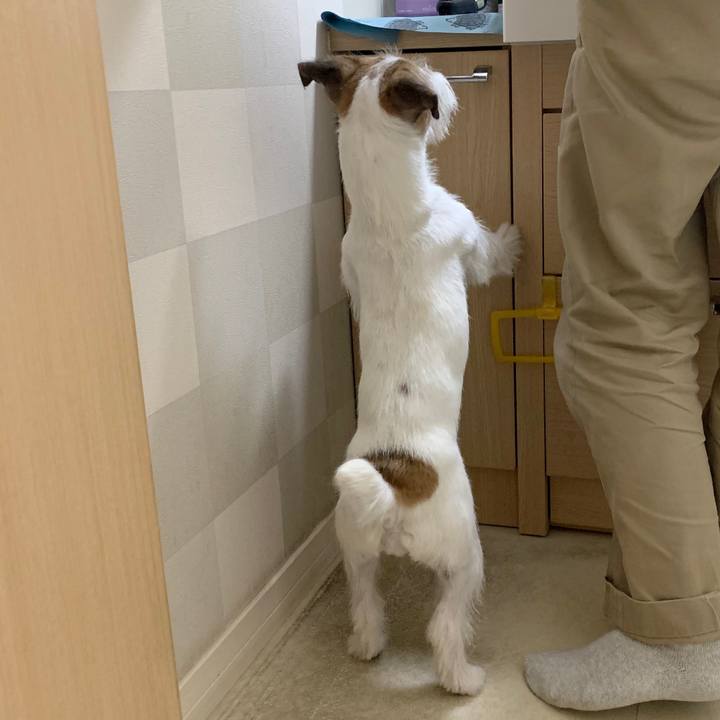 Ccdde846 11a8 4d5e 87ac d0109bfed4d0 1577005055297