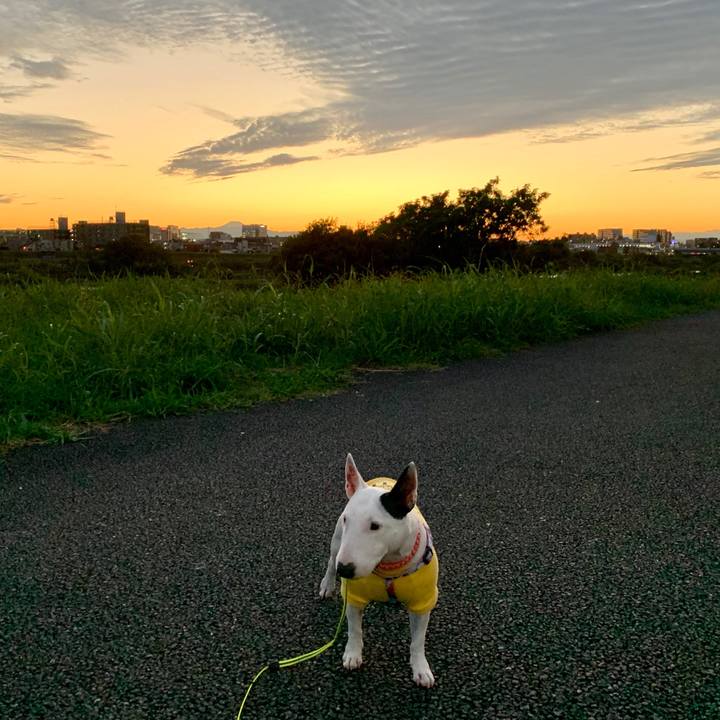 Ccddf426 a858 4963 b631 b92560d7aa26 1603361226093