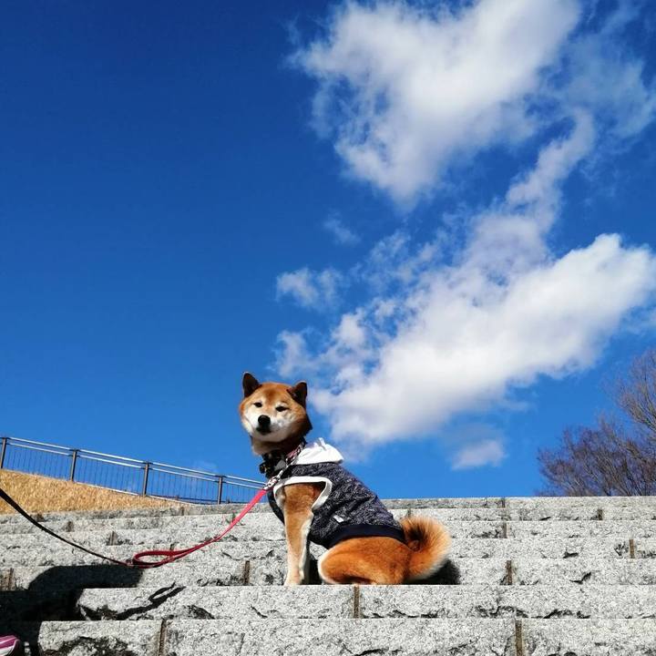 Ccde0b4b 2143 4604 b00a 0d19f0e22e2d 1644137820967