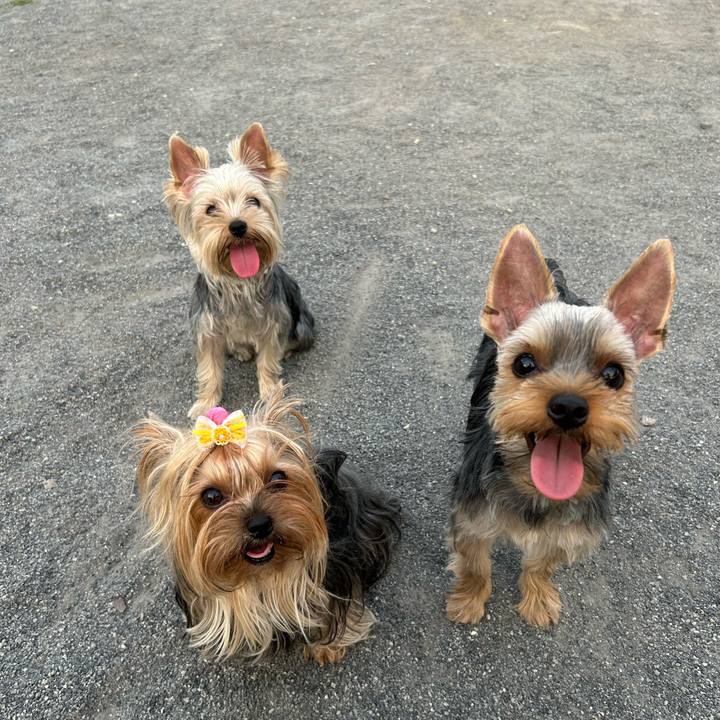 Ccde56d4 2a4c 46c5 a268 a5a23752f676 1772534479882