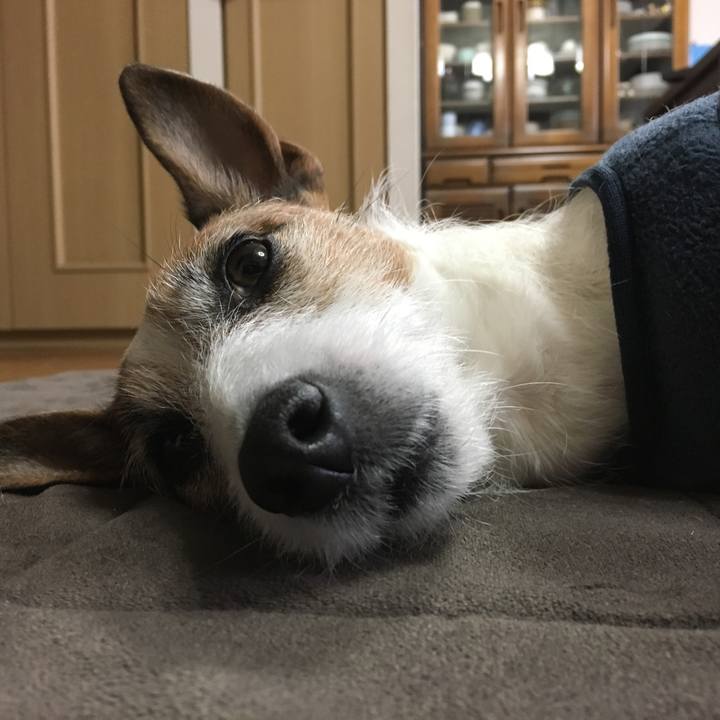 Ccde978a 684b 4010 a55d dba9d9e40339 1551690224009