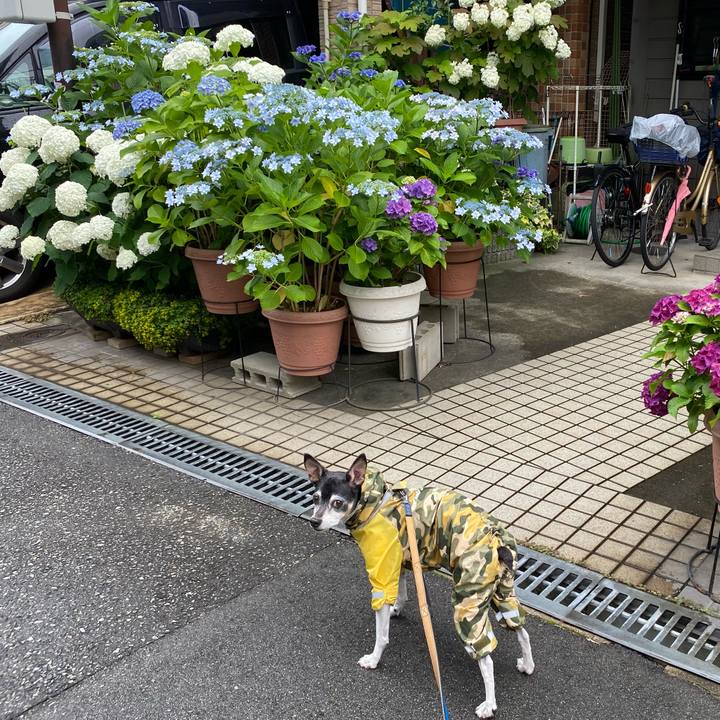 Ccdeef98 7d67 4f5c 9179 98f52e3e2d71 1622944715028