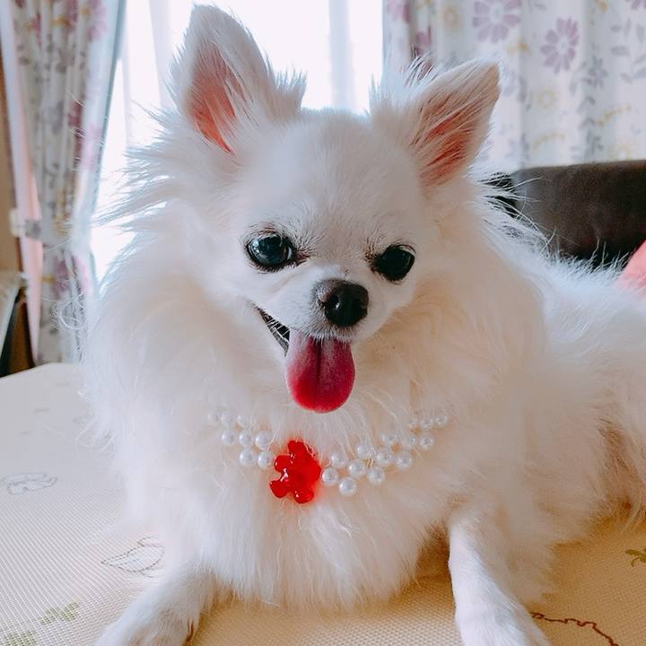 Ccdef6bd ab71 419f add8 317a684ebb0f 1759112960321