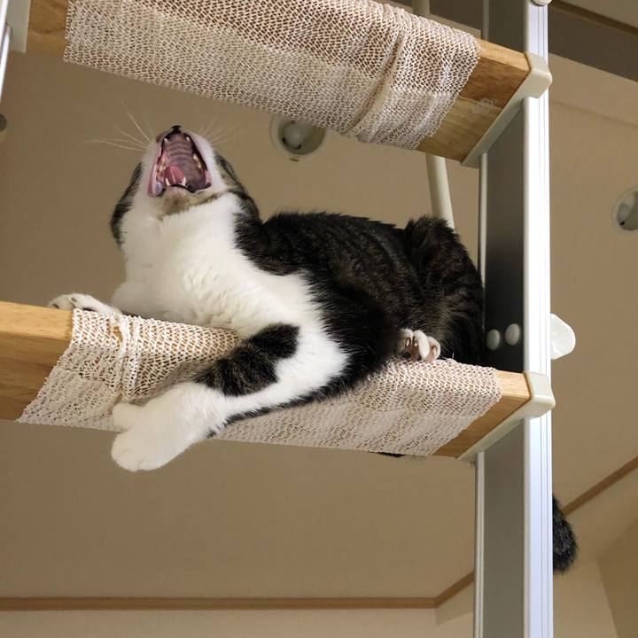 Ccdef89e 983c 4238 80d9 59f7ffa40aa0 1550572401479