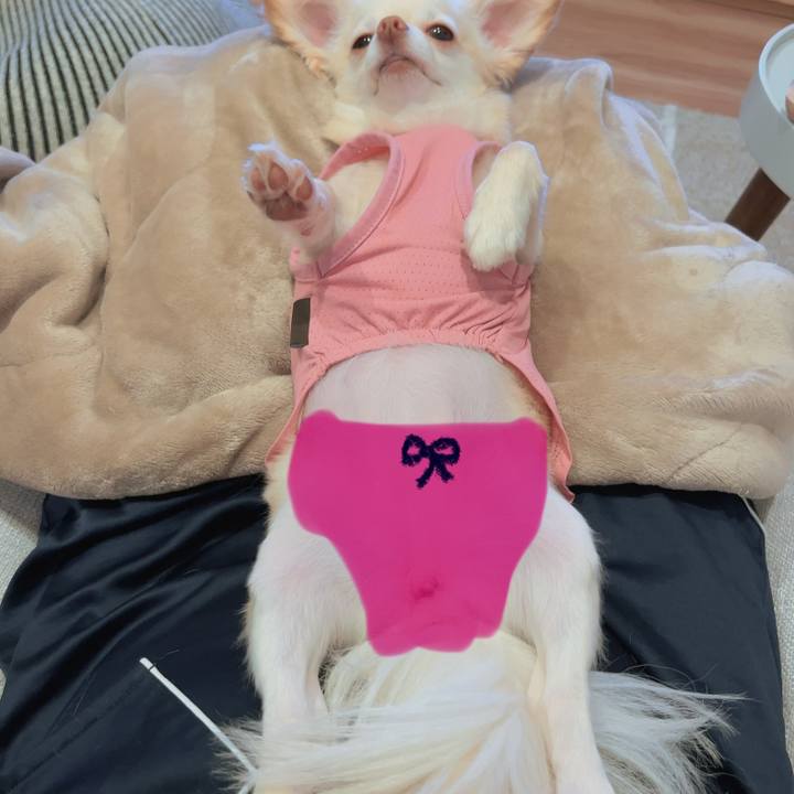 Ccdf5ffd a04d 42f8 addd c94f1c768ba3 1688559842542