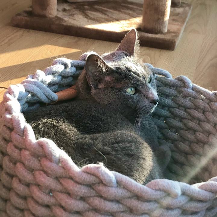 Ccdfbcb5 e513 490f b322 1f4e1b9b4e4c 1602037004285