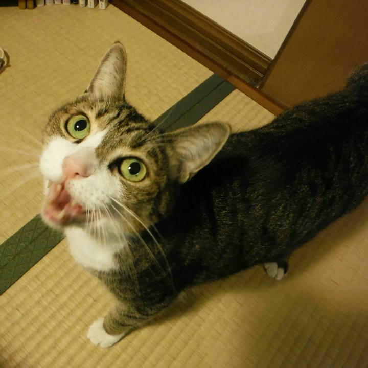 Ccdfc644 10e0 4bcd bca9 abe759cc7ccb 1540853160883