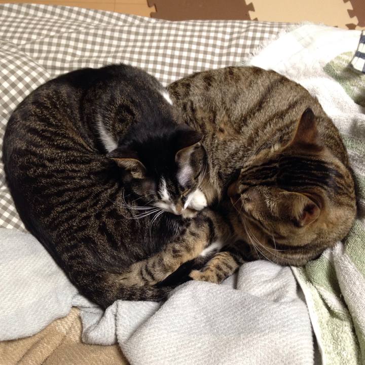 Ccdfe3a6 3643 440c bdc2 30cf2fea303e 1512611783859