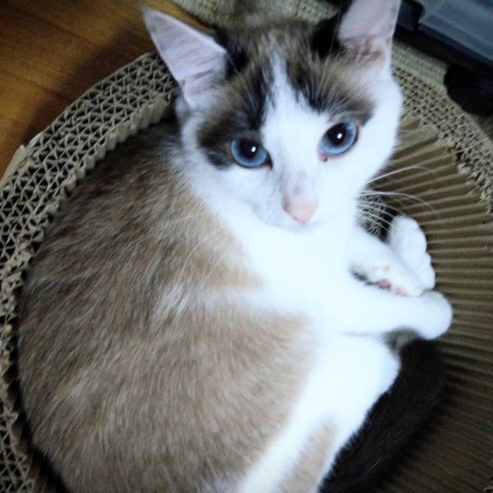 Cce01d7b 230d 4b39 8c44 aff65f6c04be 1593601233927