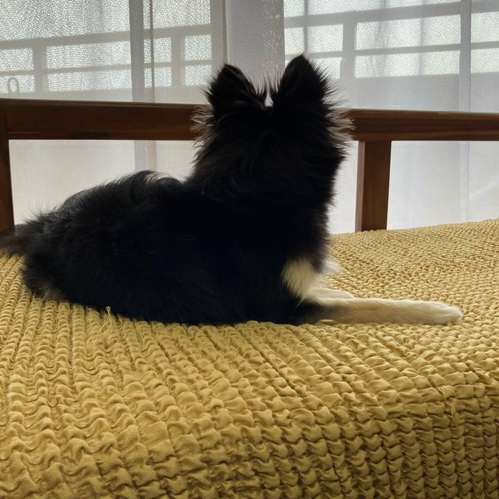 Cce01fbd 85eb 4d19 ba94 556a85512310 1658149069061