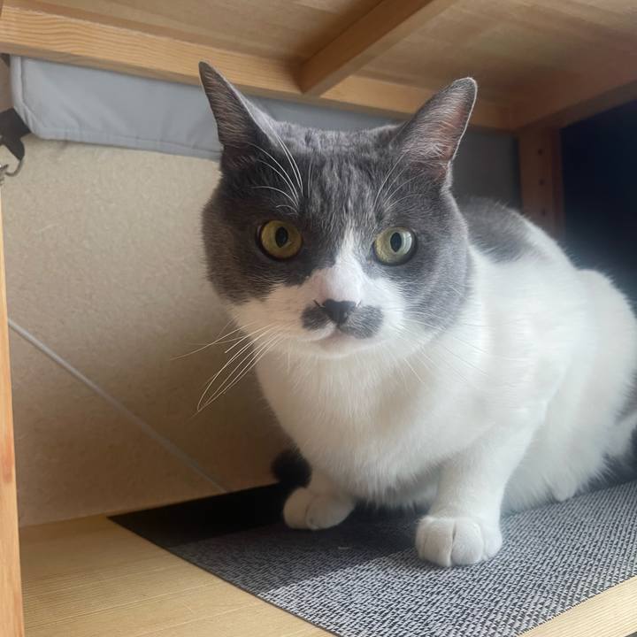 Cce02727 bdf4 401e 89cd 21d3de4a8ece 1752790728722