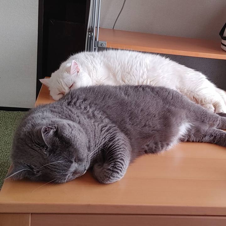 Cce0299e e67a 4d90 afa1 828d0babd5b4 1679646448365