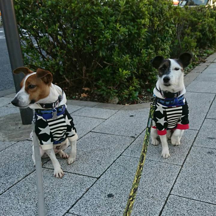 Cce02c45 b13b 4218 938f a62bcfa361ba 1540850913642