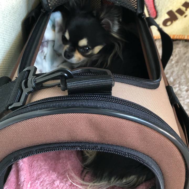 Cce04357 b27a 4592 9348 ffeae0b2cb56 1588207754091