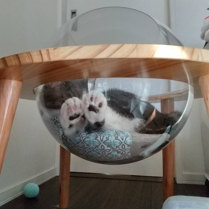 Cce07aa5 4cb0 44e8 b258 450a524589a9 1633147858617