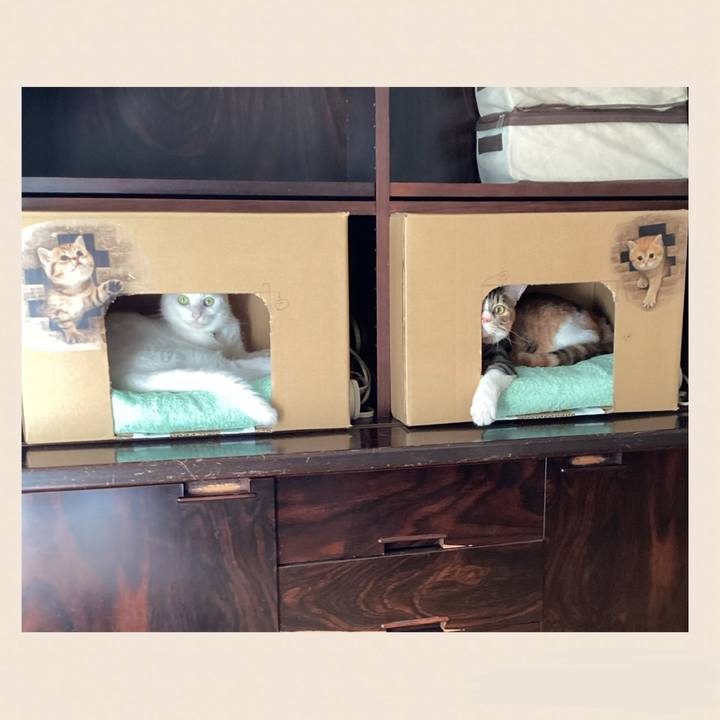 Cce0e489 e679 40f2 8133 90b9173294b5 1729404798539