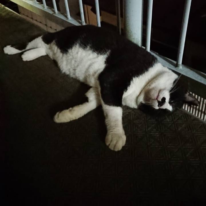 Cce0ebaf 3b78 447d ae09 c4d1afbc90f7 1629372769251