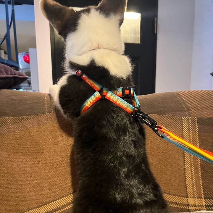 Cce1346b 48fe 426e 8e46 558a7afebbf8 1771770698709